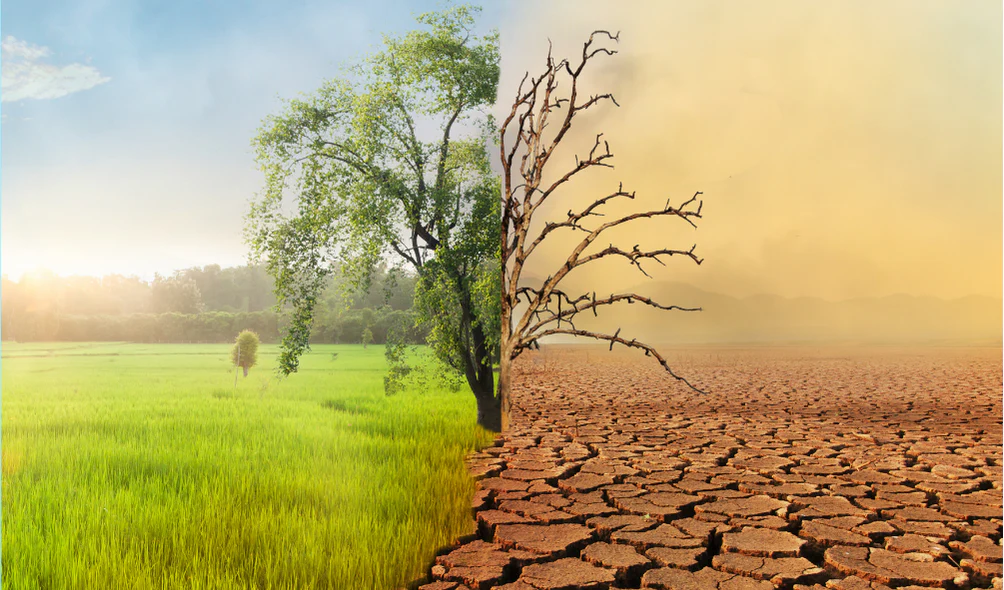 What Is Climate Change? What Is Climate Change?