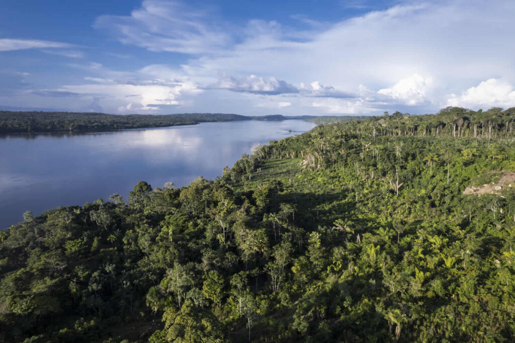 Uber and Audi used carbon credits generated in a farm that employed slave labor